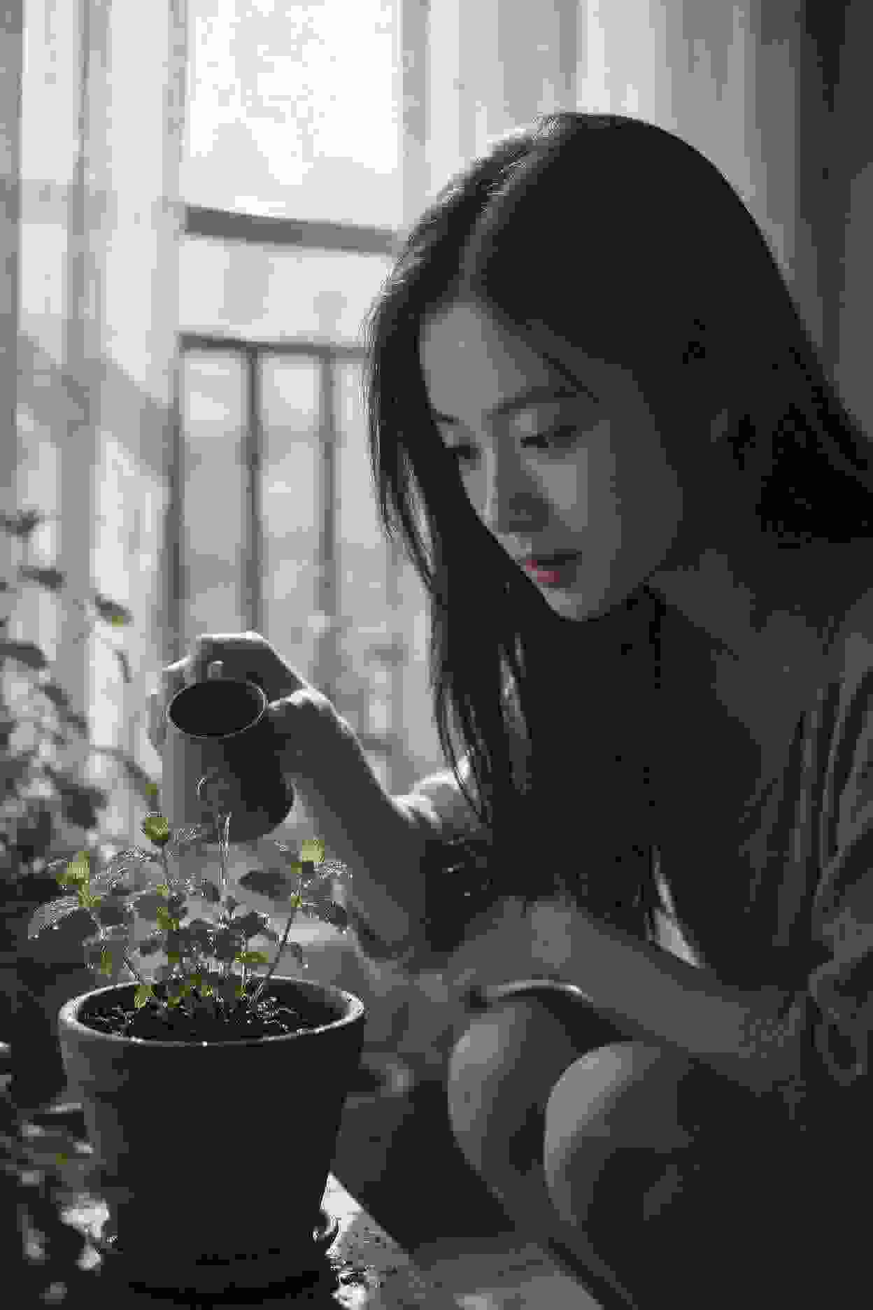 夜幕杀局